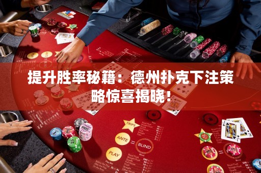 提升勝率秘籍：德州撲克下注策略驚喜揭曉！