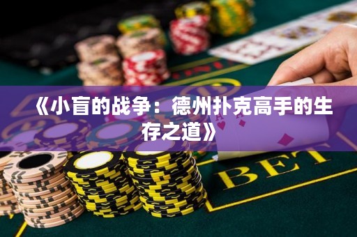 《小盲的戰(zhàn)爭：德州撲克高手的生存之道》